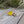 Load image into Gallery viewer, Rubber Ducky Earrings