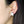 Load image into Gallery viewer, Unicorn Earrings