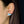 Load image into Gallery viewer, Whale Earrings