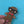 Load and play video in Gallery viewer, Mr. Gingerbread
