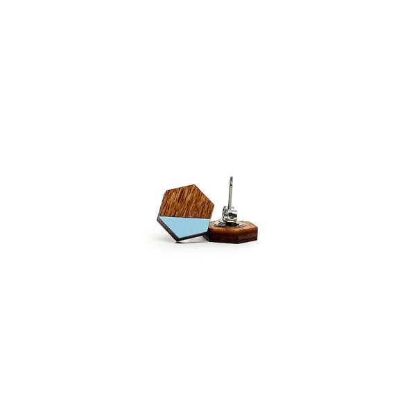 Dip Hexagon Earrings