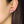 Load image into Gallery viewer, Donut Earrings
