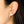 Load image into Gallery viewer, Middle Finger Earrings
