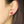 Load image into Gallery viewer, Mushroom Earrings
