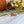 Load image into Gallery viewer, Pumpkin Earrings
