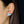 Load image into Gallery viewer, Whale Earrings

